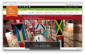 CBU internal page alert