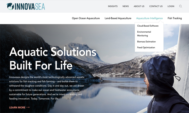 Innovasea homepage screenshot
